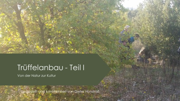 Trüffelanbau in Deutschland - statt Lehrbuch ein Lehrfilm