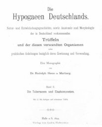 Trüffeln in Deutschland - wie es vor 130 Jahren aussah